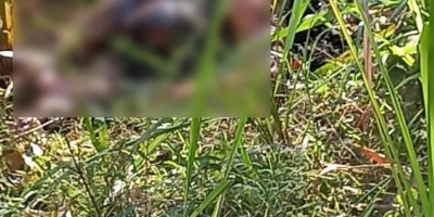Mulher é encontrada morta em lixão com perfuração na cabeça em Monte Negro (RO)