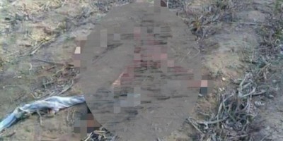 Foto de corpo retalhado e áudio afirmando se tratar de ataque de onça no interior de RO...