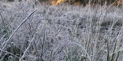 Cidades de SC registram mínima de -5,13ºC na madrugada desta sexta-feira; Onda de frio...