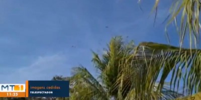 Moradores registram infestação de gafanhotos em distrito de Cuiabá