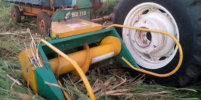 Trabalhador rural morre após ter parte do corpo esmagado por triturador de silagem em...