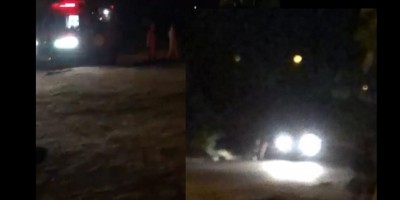 Homem é espancado a pauladas até a morte em Pimenta Bueno