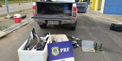 80Kg de peixe são apreendidos de forma ilegais em Vilhena