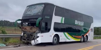 Boi vai parar dentro de ônibus após ser atropelado na BR-364  em distrito de Porto...