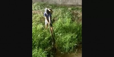Homem puxa sucuri de 4 metros pelo 'rabo' em córrego de Porto Velho; veja o vídeo