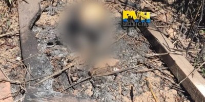 Crânio humano é encontrado em meio a entulhos na BR-364 em Porto Velho