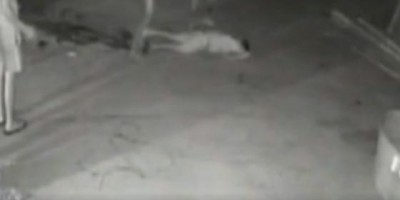 Homem mata 'amigo' a facadas após crise de ciúmes; veja o vídeo