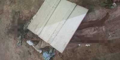 'Morador de rua' é encontrado morto à pauladas e com corpo parcialmente carbonizado em...