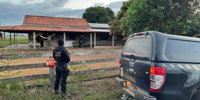 Operação da PF tenta derrubar financiadores de grupo que enviava drogas de RO para GO