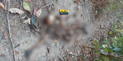 Ossada humana é encontrada no bairro Planalto em Porto Velho