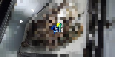 Corpo decapitado e com pés amputados é encontrado na ponte do Rio Machado, em...