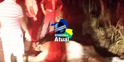 Cavalo morre e homem fica ferido após atropelamento em Ji-Paraná