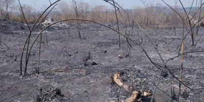 Incêndio de grandes proporções atinge área de vegetação em Cacoal; veja o vídeo