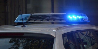 Homem é indiciado por estuprar cadela durante videochamada