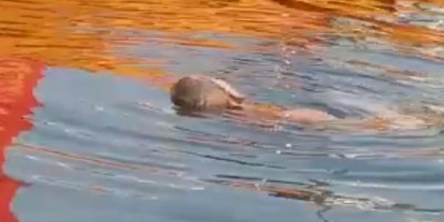 Homem é morto com tiro na cabeça e corpo é desovado em rio; veja o vídeo (imagens...