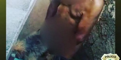 Homem é preso após ser pego abusando de cachorro