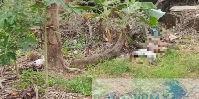Homem é encontrado morto com sinais de violência em Jaru