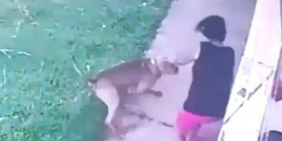 Mulher é socorrida em estado grave após ser atacada por cachorro pitbull em Ji-Paraná