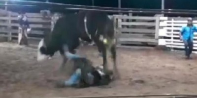Adolescente de 17 anos morre ao cair e ser pisoteado por touro no MT; vídeo 