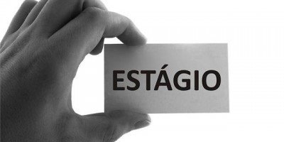 Programa de Estágio Minerva Foods 2024