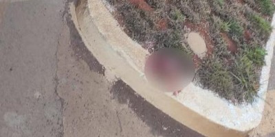 Cabeça humana é encontrada em canteiro de rodovia no MT