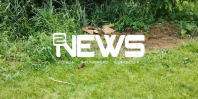 Corpo é encontrado queimado dentro de cova rasa em Cacoal