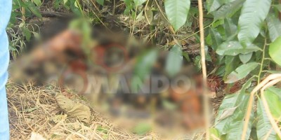 Corpo em decomposição é encontrado às margens de rodovia em Ji-Paraná