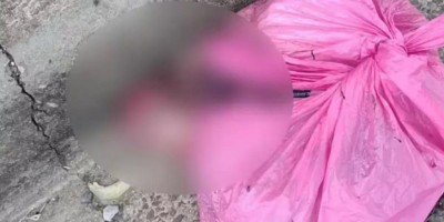 Cachorro encontra feto dentro de sacola plástica