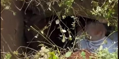 Idoso fica ferido após ataque de Pit Bull em Rolim de Moura; vídeo
