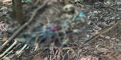 Ossada humana é encontrada em área de mata