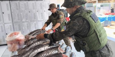 Operação apreende mais de 200 kg de pescado na BR-364