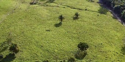 VENDE-SE - PROPRIEDADE RURAL EM ROLIM DE MOURA - 10 ALQUEIRES.