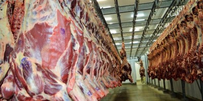 GUERRA NO IRÃ: Conflito afeta exportações de carne e atinge cadeia produtiva de...