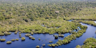 Fundo Amazônia amplia restauração florestal em Rondônia