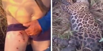 Brasil Homem sobrevive após ataque de onça-pintada e mata animal