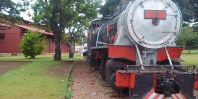 Mulher é picada por jararaca na Estrada de Ferro Madeira-Mamoré, em Porto Velho