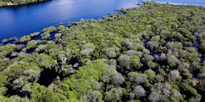 Alertas de desmatamento na Amazônia caem 35% em junho