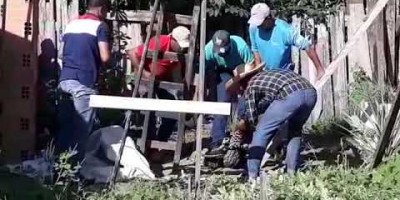 ASSISTA VÍDEO: jaguatirica invade quintais, mobiliza polícia e é capturada por...