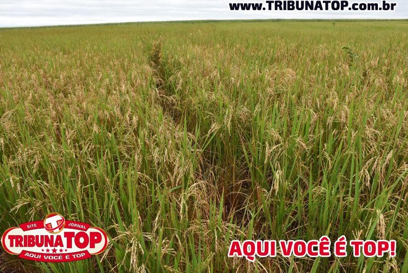 ROLIM DE MOURA: GRUPO CESAR CALCÁRIO - INTERCÂMBIO BRASIL X BOLÍVIA 