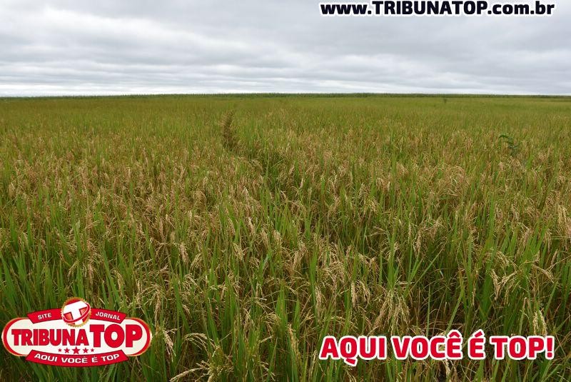 ROLIM DE MOURA: GRUPO CESAR CALCÁRIO - INTERCÂMBIO BRASIL X BOLÍVIA 