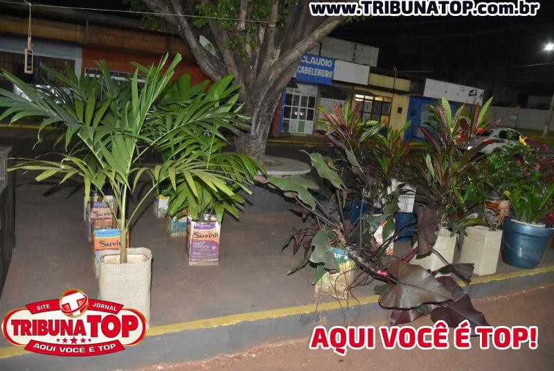 ROLIM DE MOURA: EXPOSIÇÃO CERNA 