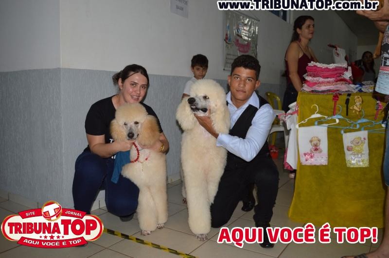 ROLIM DE MOURA: 8º FEIRA DE EMPREENDIMENTOS FSP