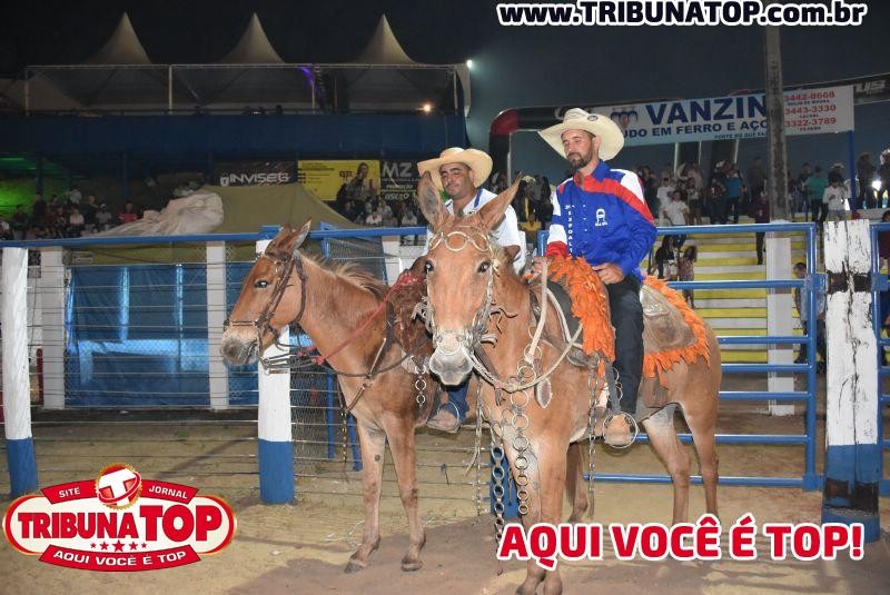 EXPOAGRO 2019: SÁBADO E DOMINGO 