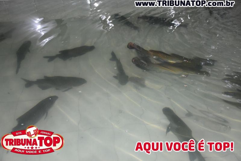 ROLIM DE MOURA: EXPOAGRO 2019