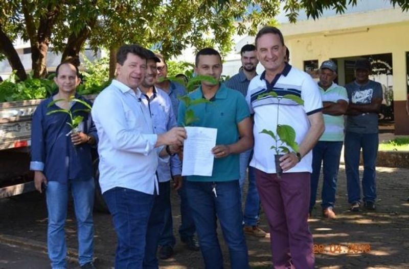 Rolim de Moura: Agricultores familiares recebem mudas de Café Clonal