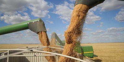 Guerra comercial entre EUA e China abre espaço para soja brasileira Guerra comercial entre EUA e China abre espaço para soja brasileira