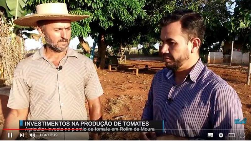 Agricultor investe no plantio de tomate para aumentar a produção em Rolim de Moura