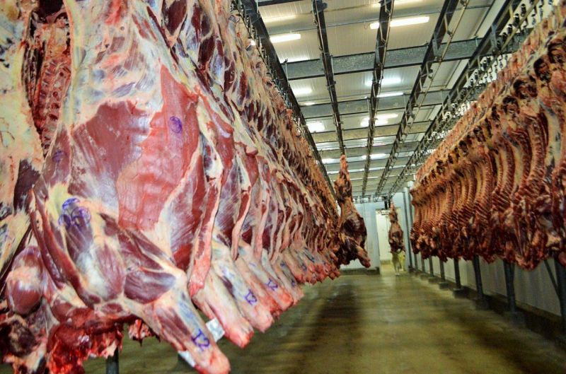 Tecnologia internacional deve ampliar competitividade da carne bovina rondoniense