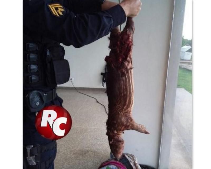 Policia prende dois homens com armas e carne de animal silvestre em Rondônia