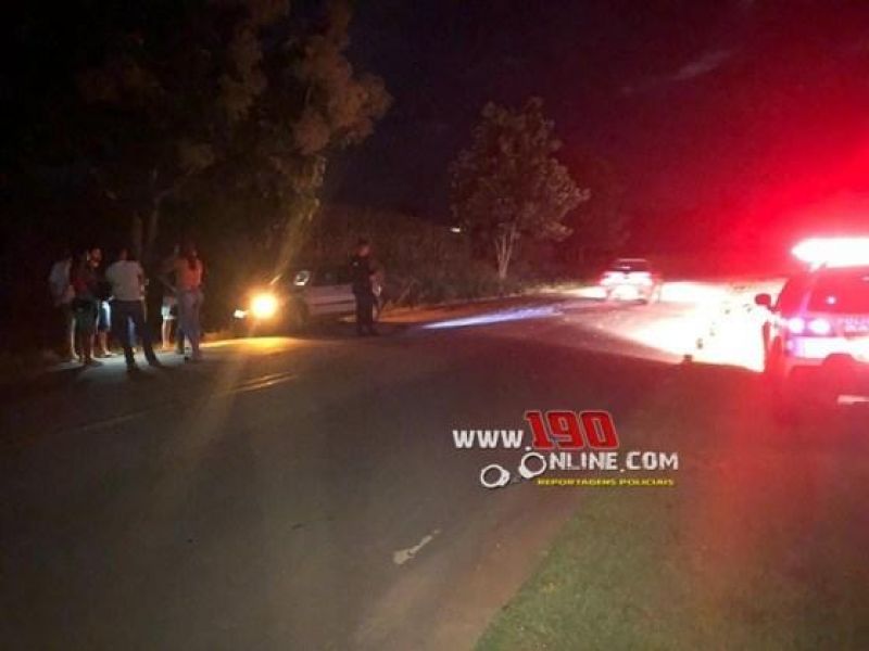 Animal na pista causa acidente com automóvel na RO 383 em Alta Floresta Animal na pista causa acidente com automóvel na RO 383 em Alta Floresta
